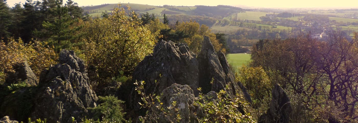 un chateau dans un parc verdoyant